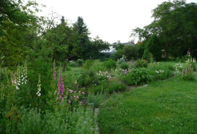tg_100610_04.jpg