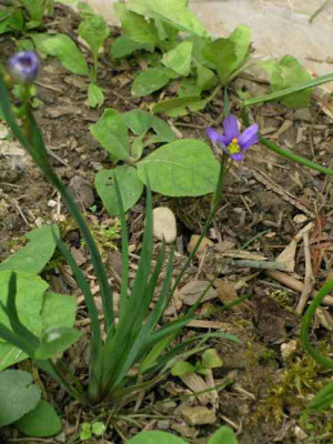 DSCN4731_1.JPG