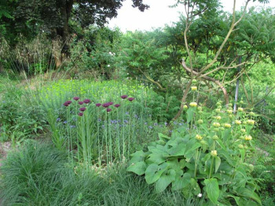 juni_2010_suedbeet_links.jpg