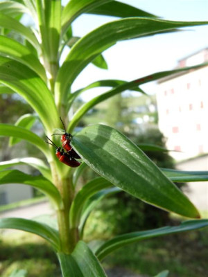 10.06.2010.30.JPG
