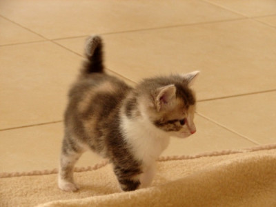 DSC00882.jpg
