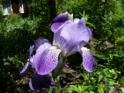 P1070333.JPG