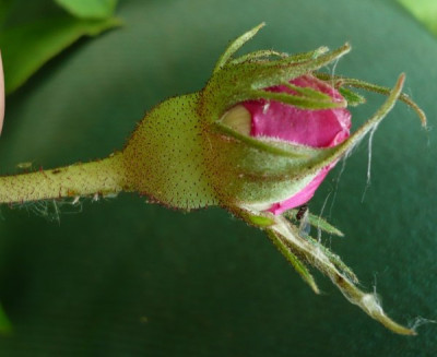 P1120167.JPG