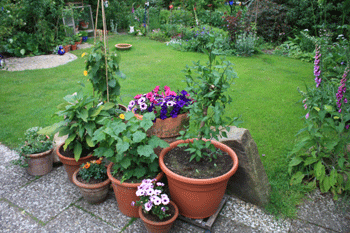 Terrassengarten.gif