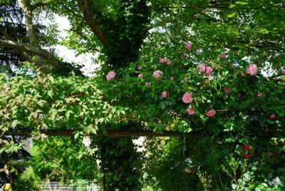 DSC_0005.JPG