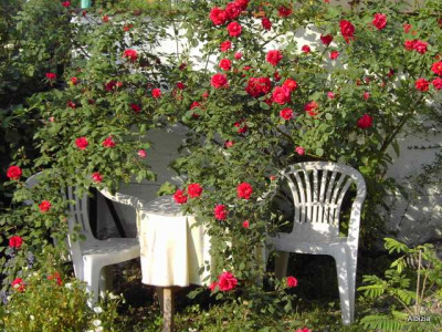 PICT0161.JPG