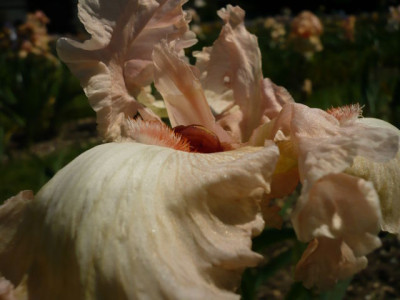 P1110532.JPG