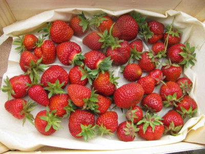 K640_IMG_1510.JPG