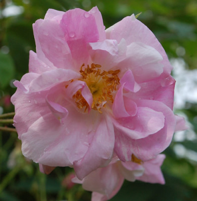 Quatre_Saison_0010__0713.jpg