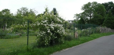tg_100615_5.jpg
