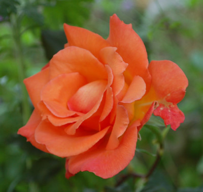 Liane_0010__1118.jpg