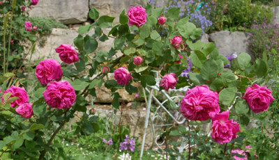 Amedee_de_Langlois_0011__69373.jpg