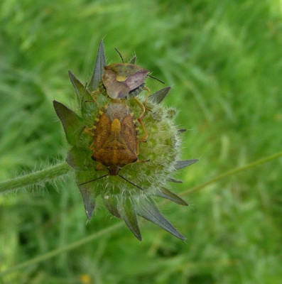 tg_100618_1.jpg