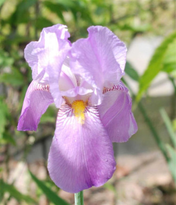 B3840a_Large.JPG