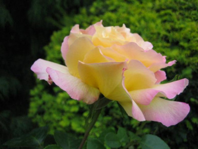 18juni2010_012_Small.jpg