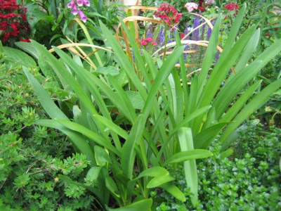 20juni2010_003_Small.jpg