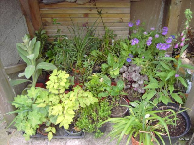 PICT4752.JPG
