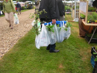 DSCN5308.JPG