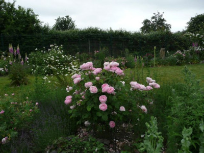 tg_100621_01.jpg