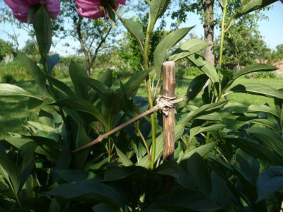tg_100622_2.jpg