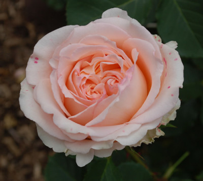 Odile_Masquelier_0010__1095.jpg