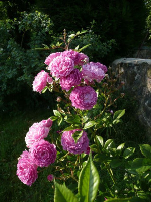 tg_100623_2.jpg
