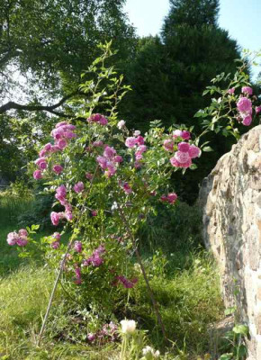tg_100623_1.jpg