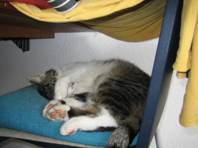 Karl_auf_Stuhl.JPG