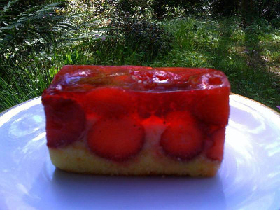 erdbeerkuchen_zg.jpg