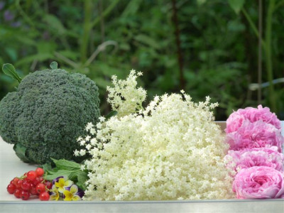 27.06.2010.60.JPG