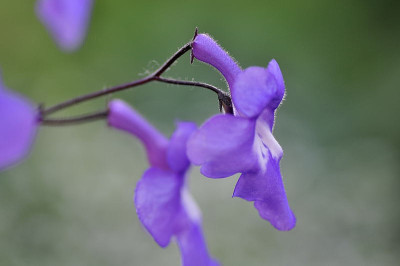 DSC_0007_02.JPG