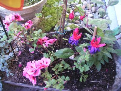 Blumenwanne.jpg