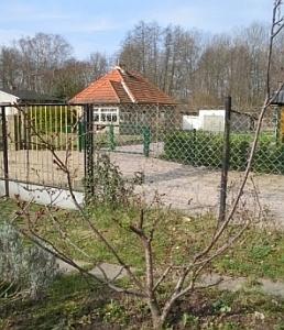 Liset_ganz_3.jpg