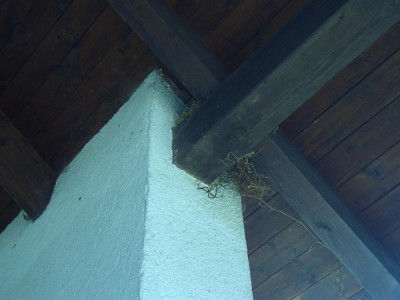 Kobel_Terrasse.JPG