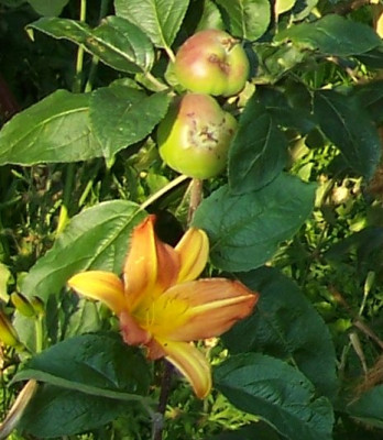 Juni_10._233_Elke_Samling.jpg