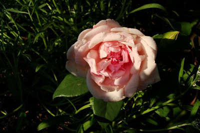 emanuella_de_mouchy_2010_zg.jpg