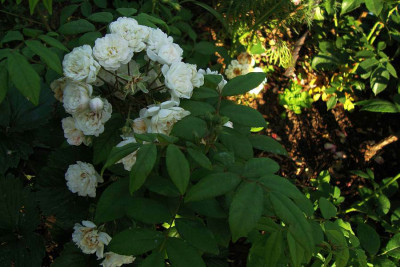 tresor_de_thorigny_2010_zg2.jpg