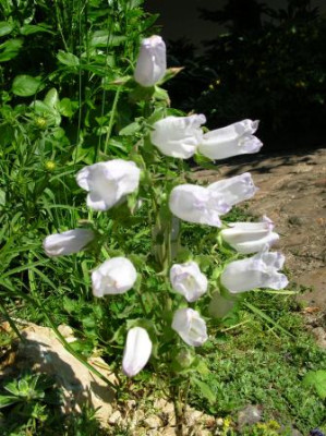 DSCN3839.JPG