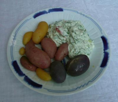 kuche_100701_2.jpg