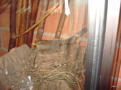 PICT4650.JPG
