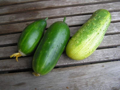 ernte040710.jpg