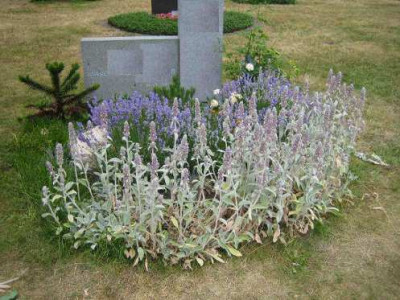 Friedhofklein.JPG