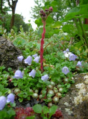 DSCN3910.JPG