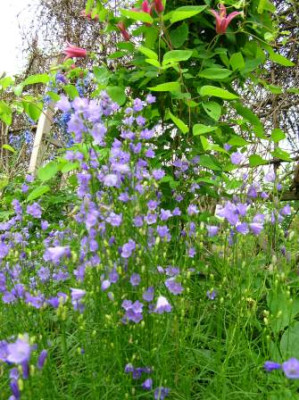 DSCN3954.JPG