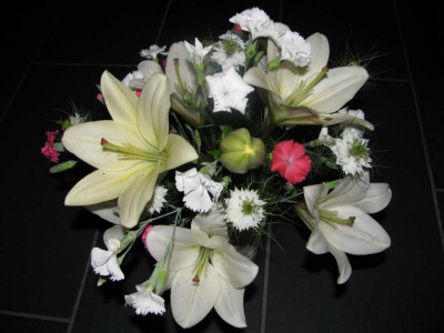 K1024_IMG_1538.JPG