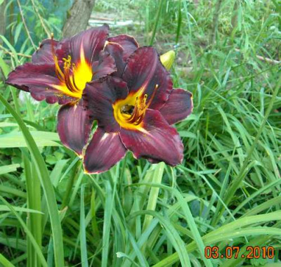 DSCN0322.jpg