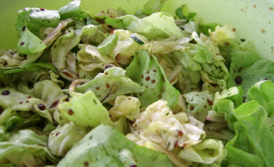 03072010--3.jpg