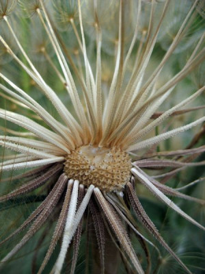 2010-07-05_Makro2.jpg
