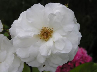 100705_04a.jpg