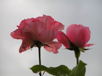 100705_06a.jpg